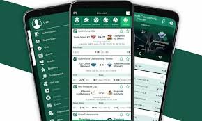 BetWinner in Tunisia Your Ultimate Guide to Online Betting