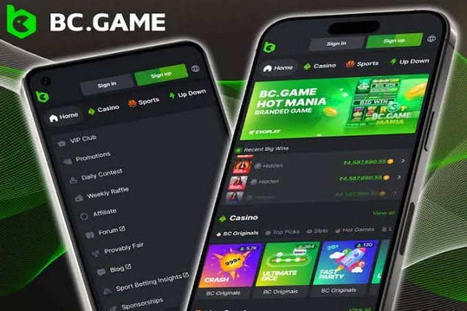 Join BC.Game in Pakistan Your Path to Exciting Gaming Adventures