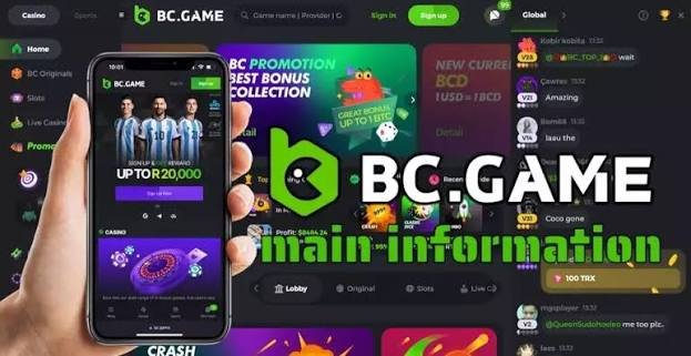 Understanding the BC.Game Indonesia Privacy Policy 876681864
